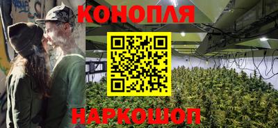 дмт Пушкино