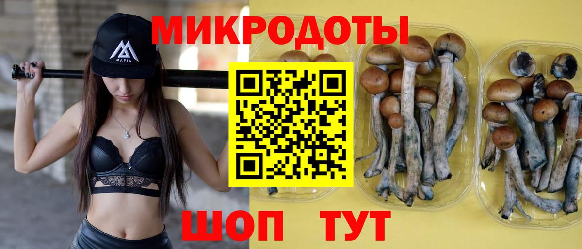 Галлюциногенные грибы GOLDEN TEACHER Приморско-Ахтарск